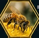 Bee on a flower